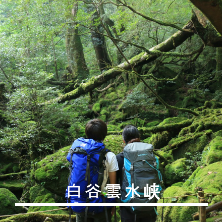 白谷雲水峡コース