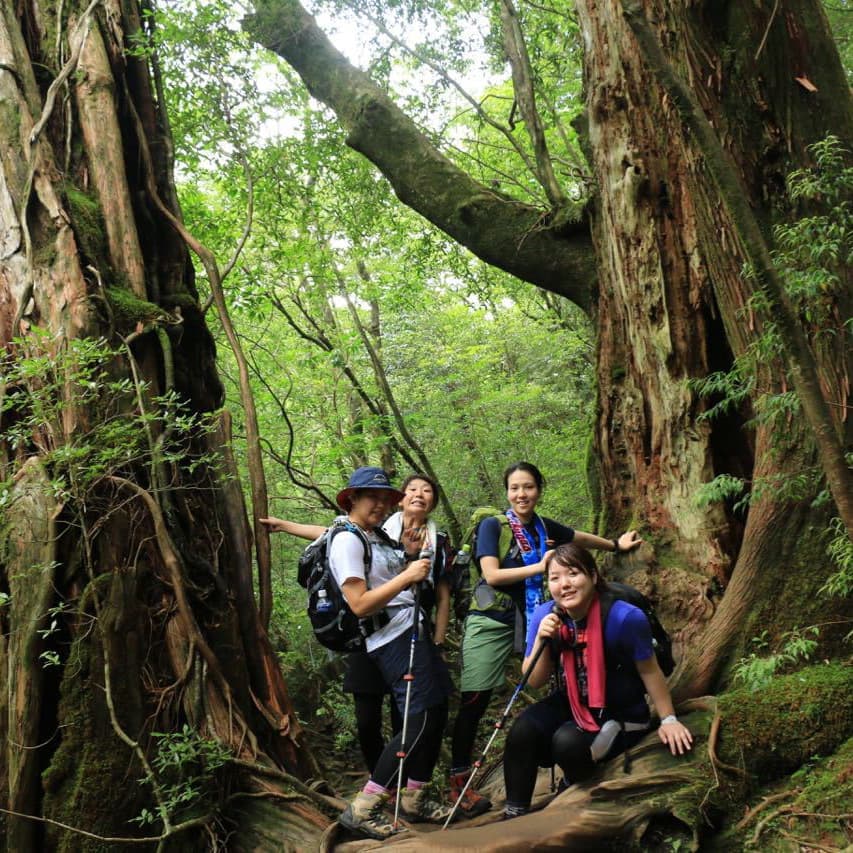 縄文杉日帰りガイドツアー4