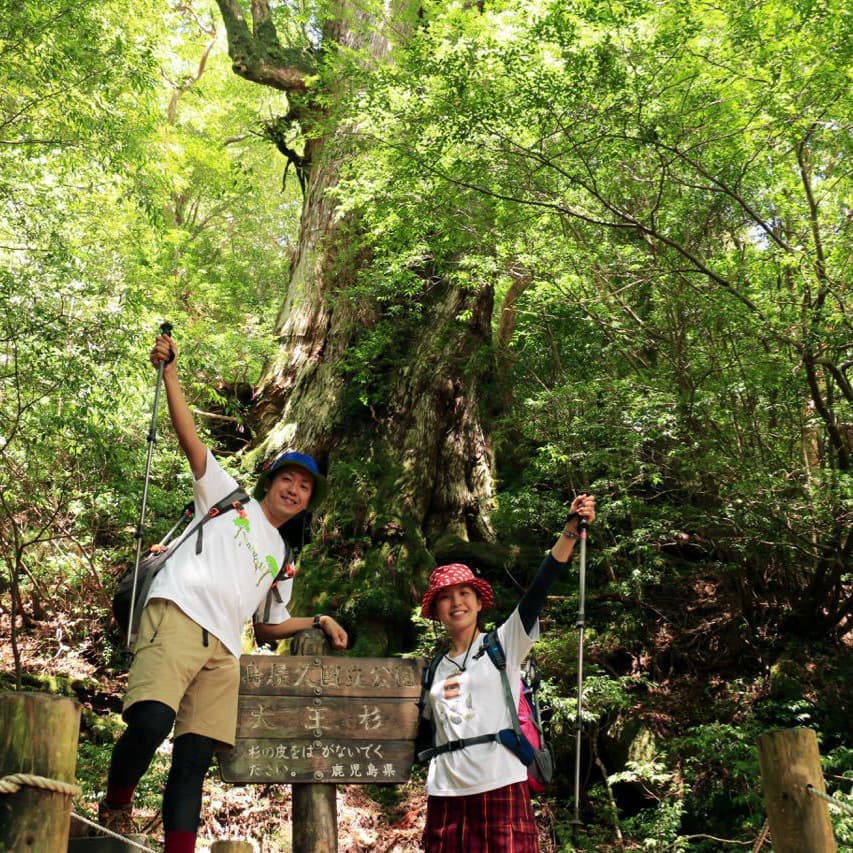 縄文杉日帰りガイドツアー6