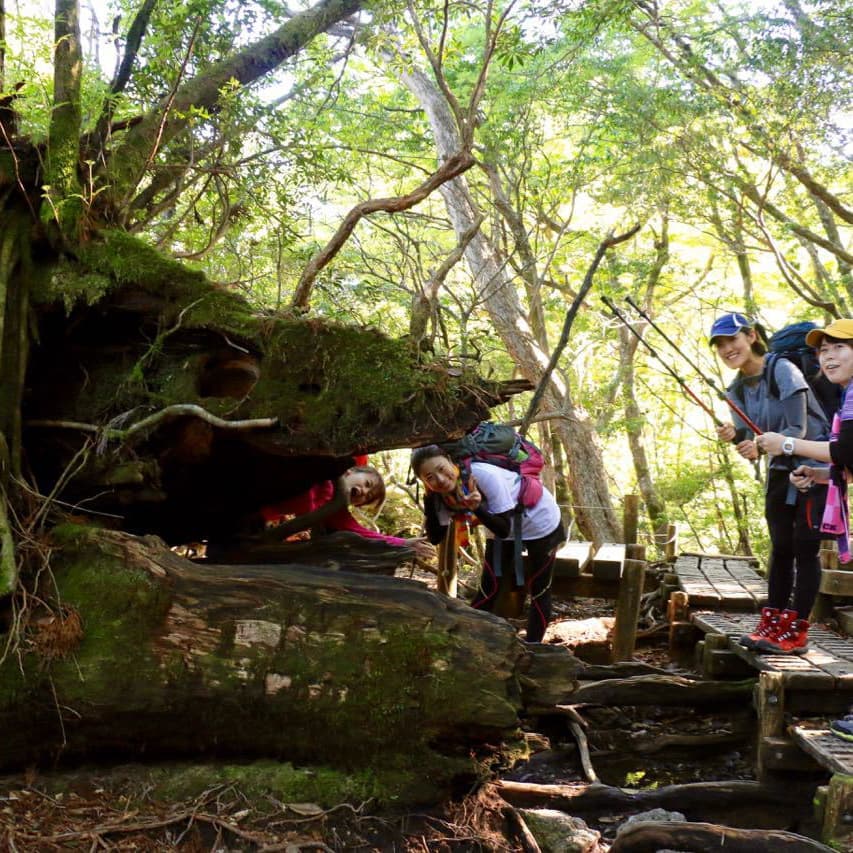 縄文杉日帰りガイドツアー7