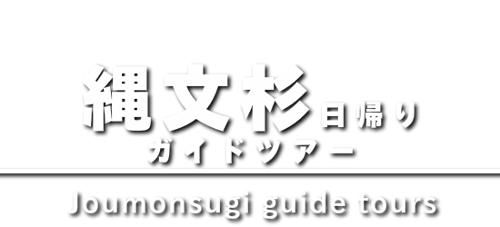縄文杉 日帰りガイドツアー