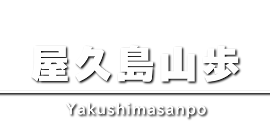 屋久島山歩