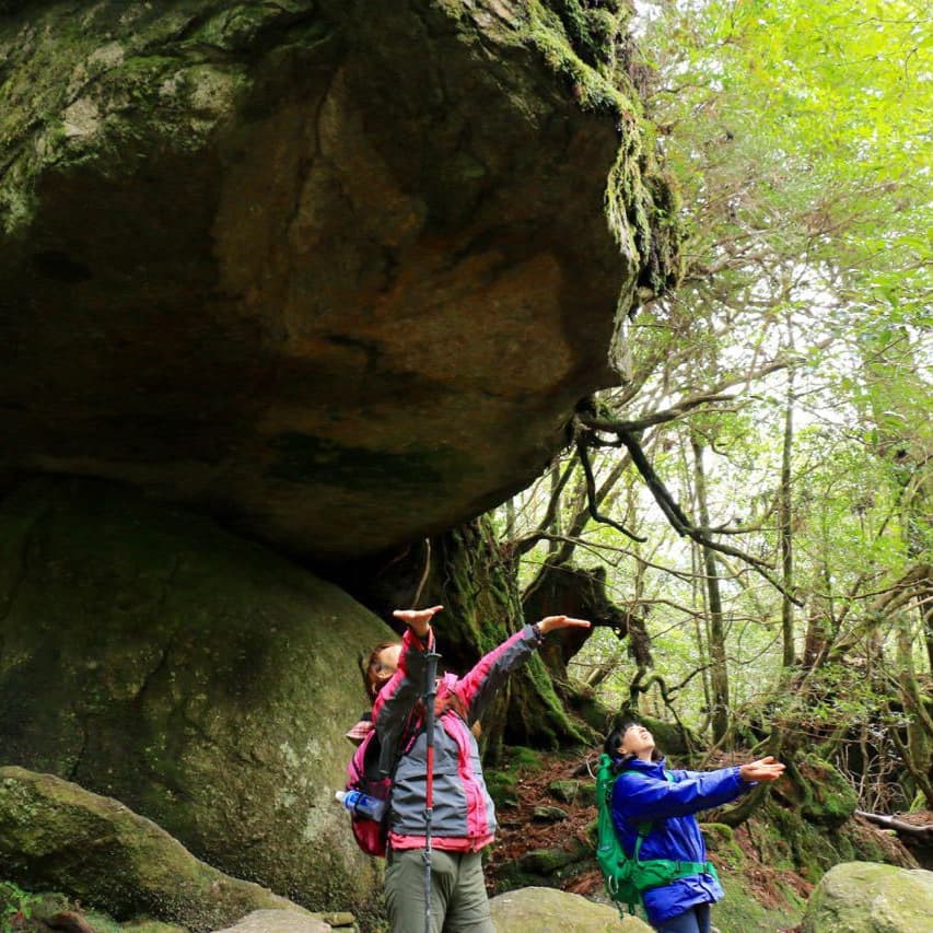 白谷雲水峡ガイドツアー6