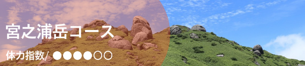 宮之浦岳ガイドツアー