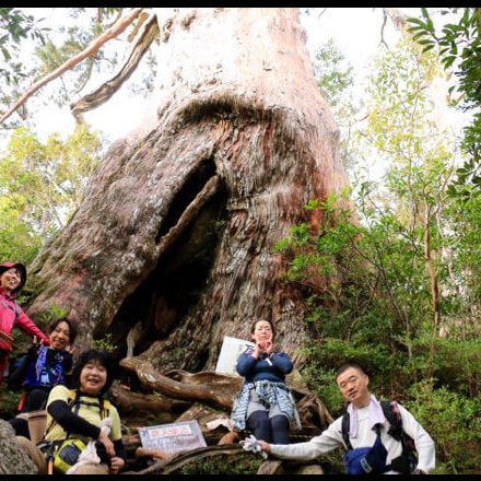 モッチョム岳ガイドツアー2