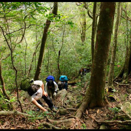 モッチョム岳ガイドツアー4