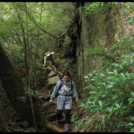モッチョム岳ガイドツアー3