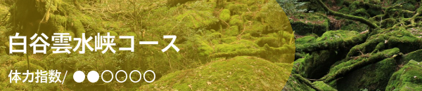 白谷雲水峡ガイドツアー