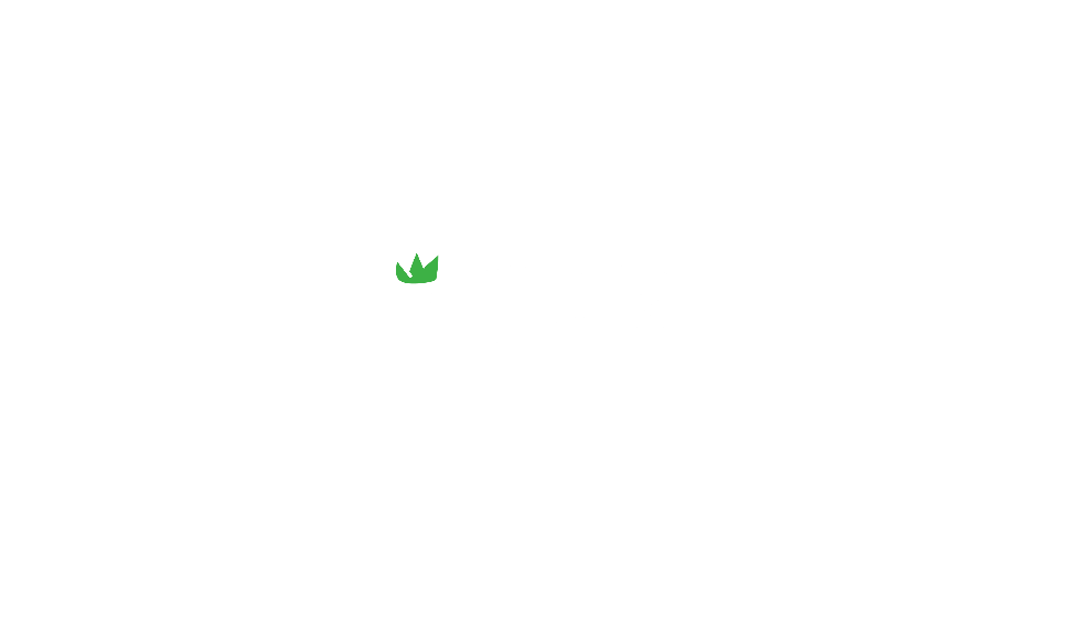 屋久島の森の中を山歩き